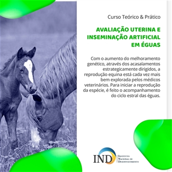 III AVALIAÇÃO UTERINA E INSEMINAÇÃO ARTIFICIAL EM ÉGUAS