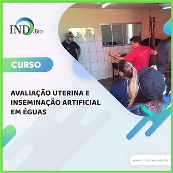 AVALIAÇÃO UTERINA E INSEMINAÇÃO ARTIFICIAL EM ÉGUAS